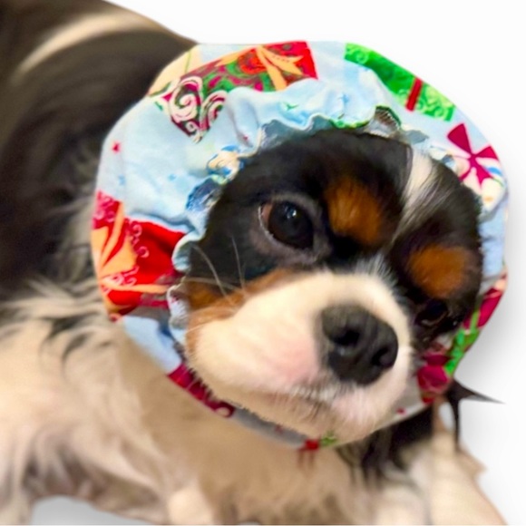 SNOOD Long Eared Dog Hat for Mealtime & Feeding - Picture 1 of 17